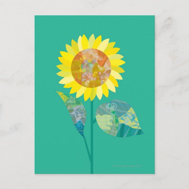 Blooming Sunflowers Postcard (Front)