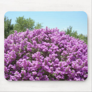Blooming Texas Sage Mousepad