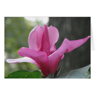 Blooming Tree