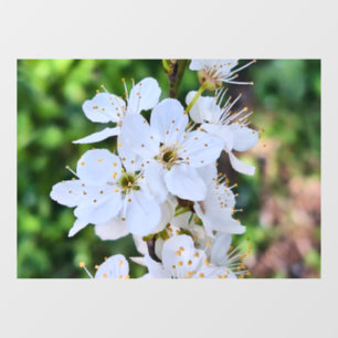 Blooming Tree in Spring Romania – Blossom Photogra Window Cling