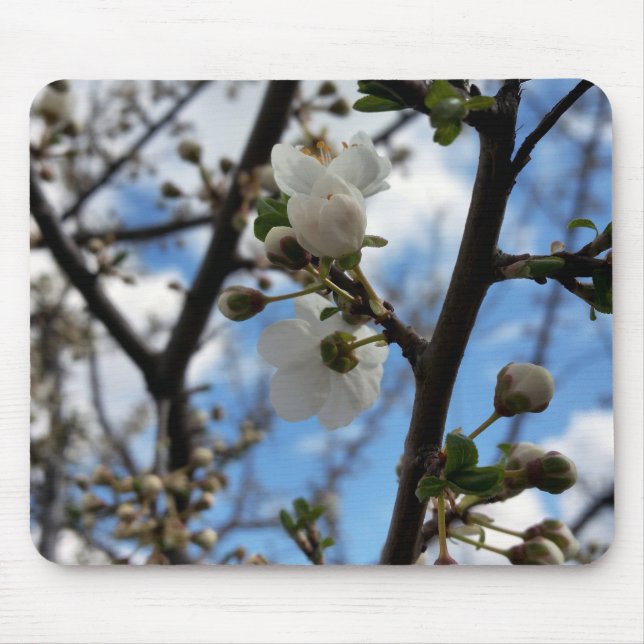 Blooming tree mouse mat (Front)