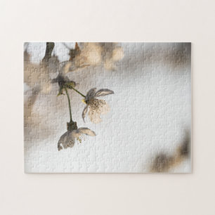 Blooming White Cherry Tree Nature Photo Jigsaw Puzzle