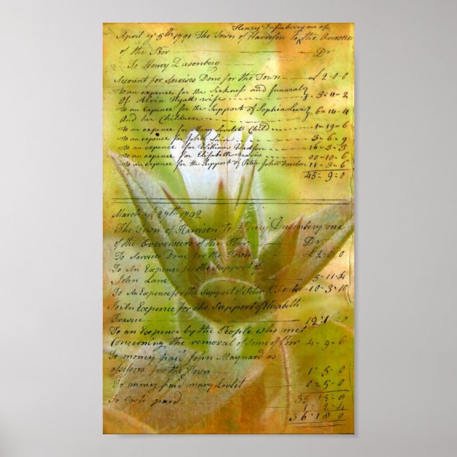 Blooming White Flower Vintage Handwriting Poster (Front)