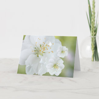 Blooming White Flowers Card