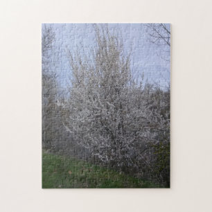 blooming white tree on boise river jigsaw puzzle