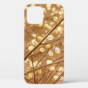 Blooming willow branches in springtime, seasonal v iPhone 12 case