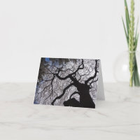Blooming Willow Note Card