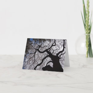 Blooming Willow Note Card