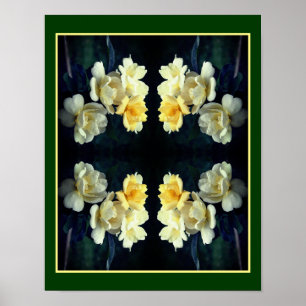 Blooming Yellow Roses Mirror Abstract Poster
