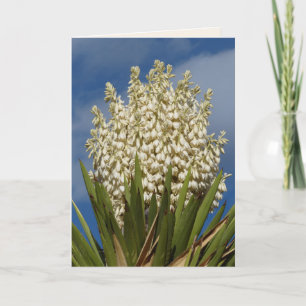 Blooming Yucca, Flowers, Southwest Blank Greeting Card