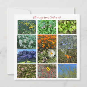 Bloomings from California! Card