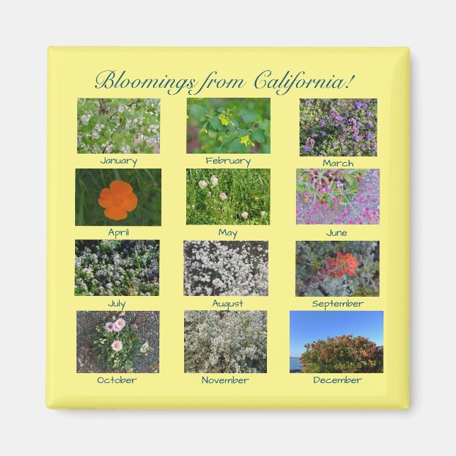 Bloomings from California! magnet (Front)