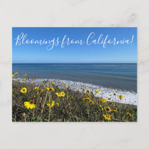 Bloomings from California! Postcard