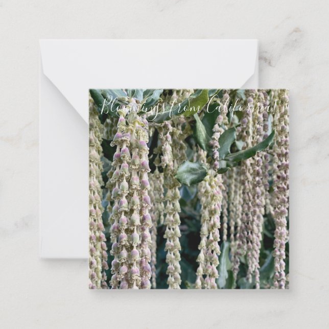 Bloomings from California: Silk Tassel Card (Front)