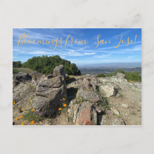 Bloomings from San Jose! Postcard