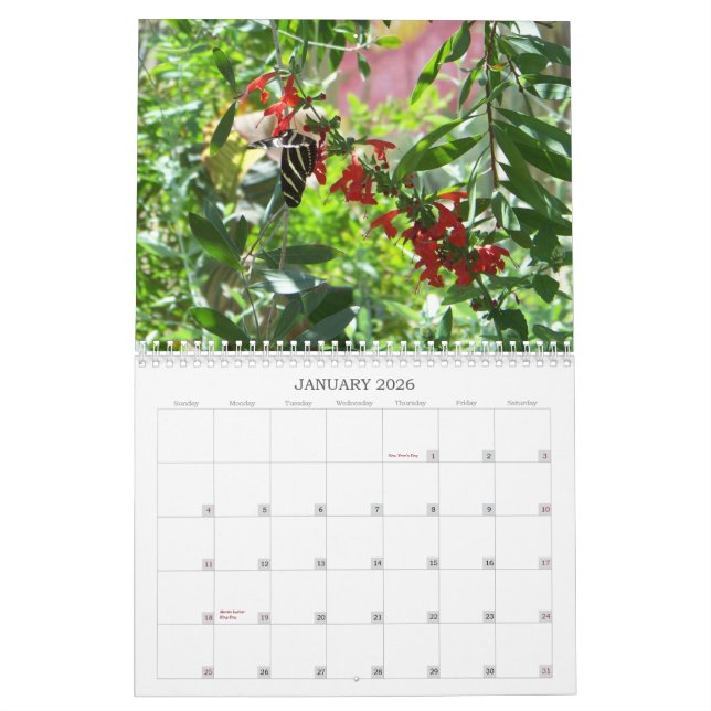 Blooms and Butterflies 2011 Calendar (Jan 2026)