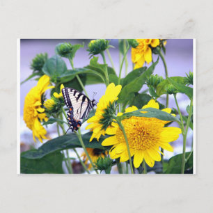 Blooms and Butterflies - Swallow Tail Postcard