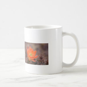 Blooms in orange coffee mug