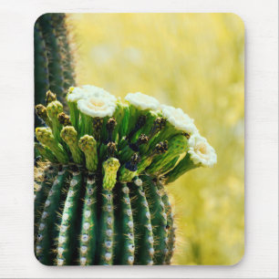 Blooms of a Saguaro Mouse Mat