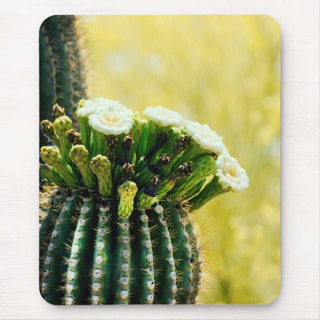 Blooms of a Saguaro Mouse Mat (Front)