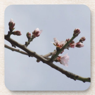 Blossom Coasters