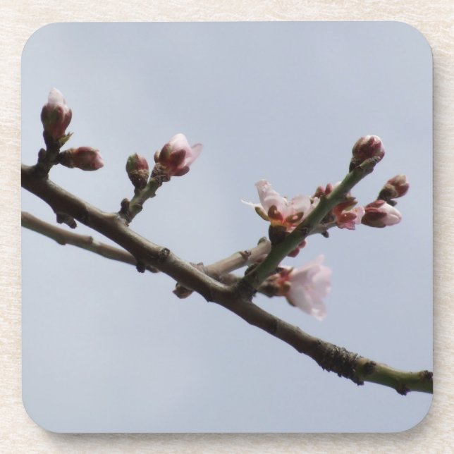 Blossom Coasters (Front)