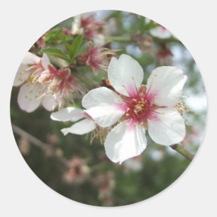 Blossom Flower Sticker