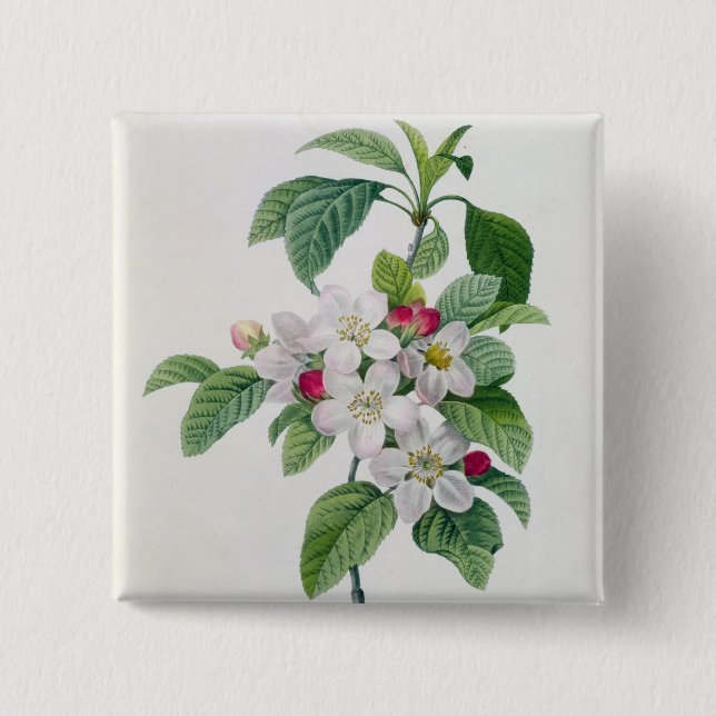 Blossom, from 'Les Choix des Plus Belles 15 Cm Square Badge (Front)