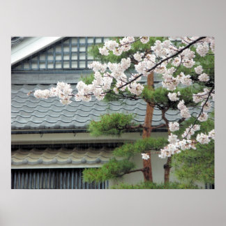 Blossom in the Rain Poster