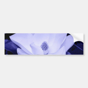 Blossom Magnolia Flower Bumper Sticker