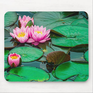Blossom pink lotus on the lake Mousepad