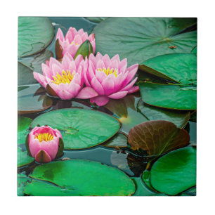 Blossom pink lotus tile