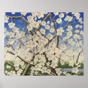 Blossom Springtime Blackthorn Sloe Poster