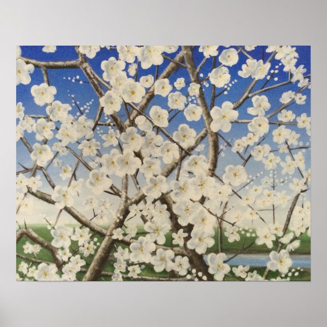 Blossom Springtime Blackthorn Sloe Poster (Front)