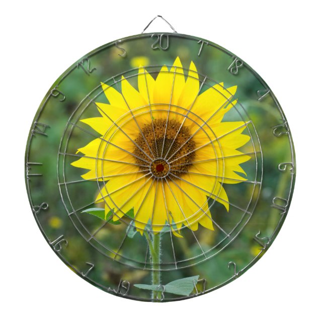Blossom Sunflower Wildflower Dartboard (Front)