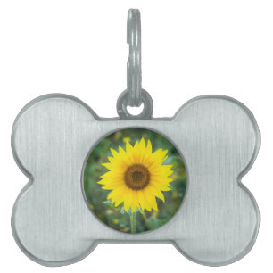 Blossom Sunflower Wildflower Pet ID Tag