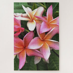 Blossom Wreath Of Pale Pink Frangipani Jigsaw Puzzle