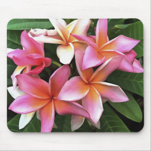 Blossom Wreath Of Pale Pink Frangipani Mouse Mat
