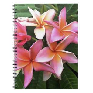 Blossom Wreath Of Pale Pink Frangipani Notebook