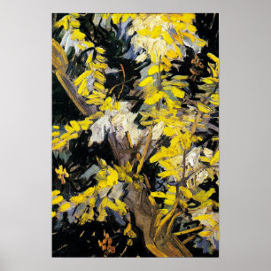 Blossoming Acacia Branches (1890) Van Gogh Art Poster