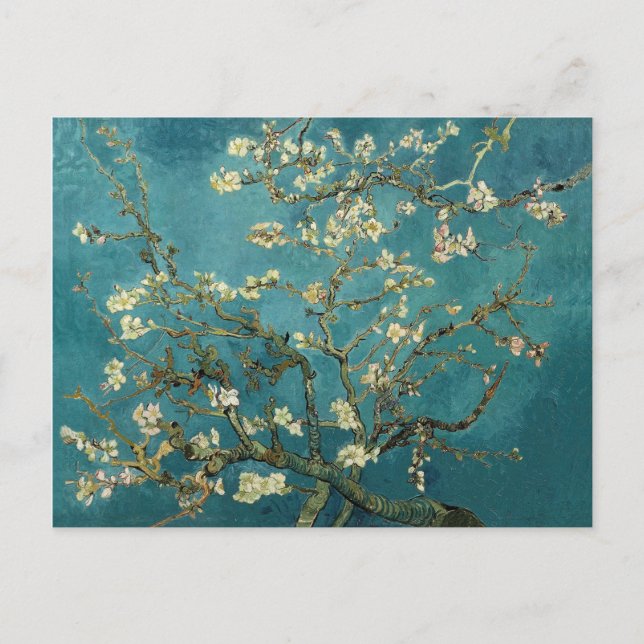 Blossoming Almond Tree (1890) by Van Gogh Postcard (Front)
