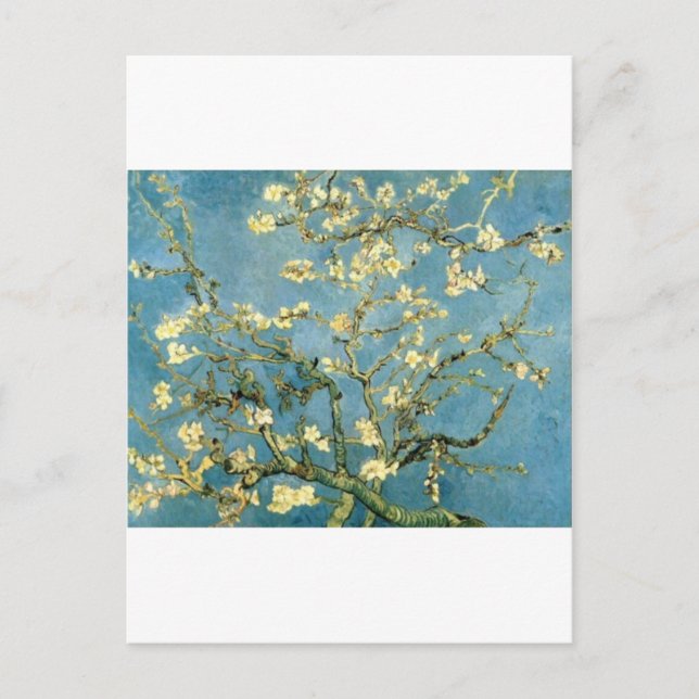 Blossoming Almond Tree by Van Gogh Postcard (Front)