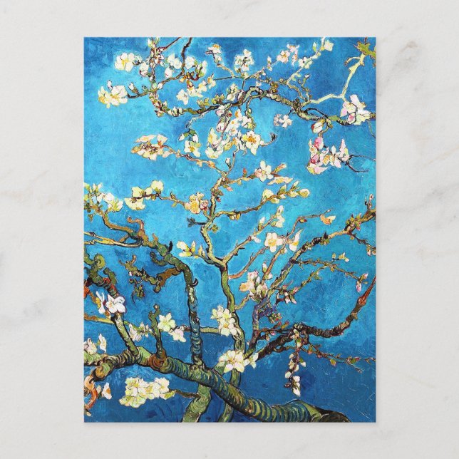 Blossoming Almond Tree Van Gogh Fine Art Postcard (Front)