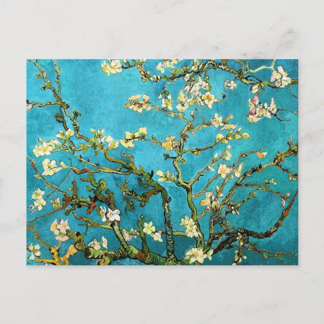 Blossoming Almond Tree Van Gogh Fine Art Postcard (Front)