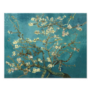 Blossoming Almond Tree - Van Gogh Photo Print