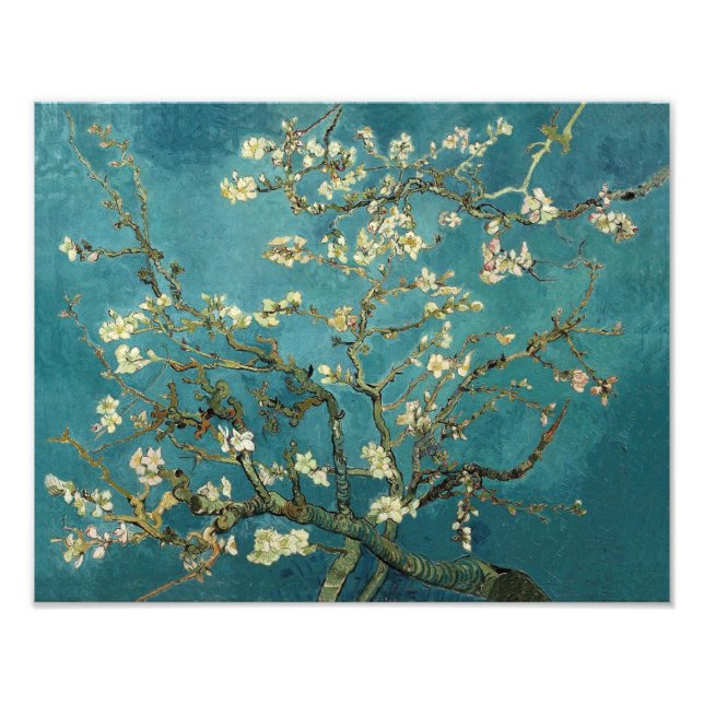 Blossoming Almond Tree - Van Gogh Photo Print (Front)