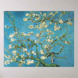 Blossoming Almond Tree  Vincent van Gogh Poster