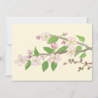 Blossoming Apple Tree Branch Illustration