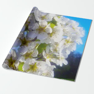 Blossoming branch of a pear Wrapping Paper