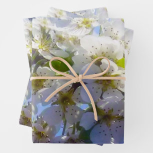 Blossoming branch of a pear Wrapping Paper Sheet